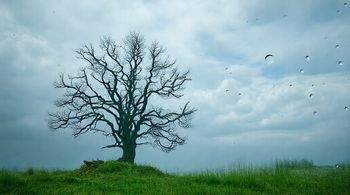 Природа против радиации: учёные разработали естественную защиту от излучения